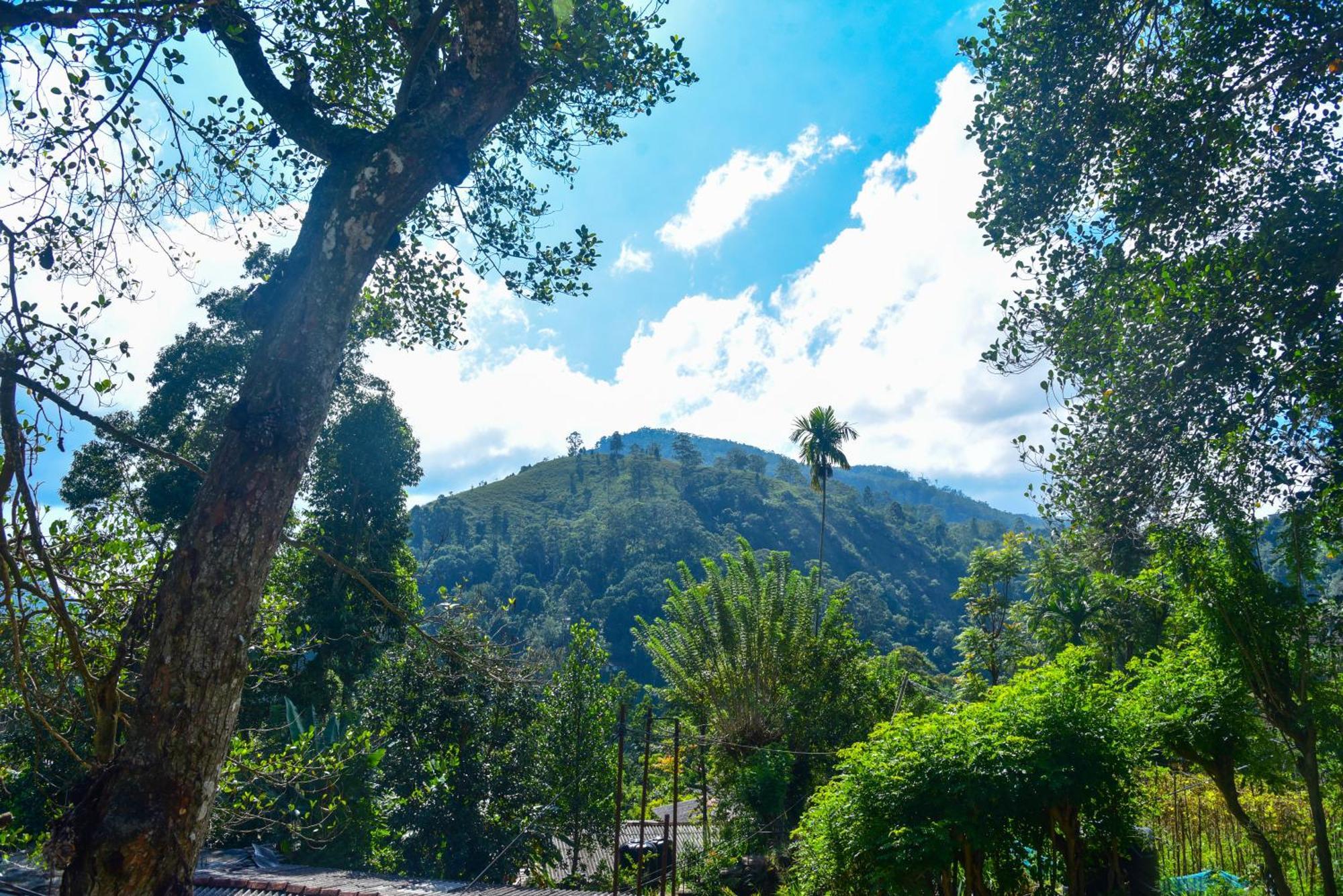Dawn View Home Stay Ella Luaran gambar